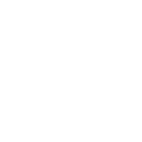 Amigdala